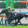 🐴🎫阪神ＪＦ・（大して勝ってないけど）歓喜の叫び！ヽ(´▽｀)/