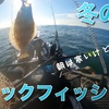 千葉　富津海域　冬のカヤックフィッシング！急に海の状況が変わりやすいです。massaさんfishingbearさん　コラボ！