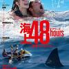 映画「海上48hours -悪夢のバカンス-」鑑賞感想(ネタバレ)