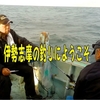 初心者からベテランまで釣れる魚