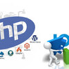 The Reasons  To Choose PHP Development Services For Your Website Development