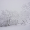 雪山での実験　　byあやや