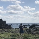 国宝巡りの記録