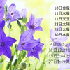 9月星模様