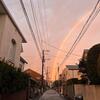 『日経新年の岩井克人先生』と『穴子と九条ネギの土鍋ごはん』