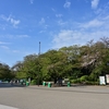 🍃上野公園で新緑を撮影しました☺