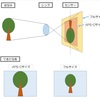 高倍率で撮影したいとき、APS-Cとフルサイズのどちらを選ぶかという話