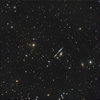 HCG61(NGC4169, NGC4173, NGC4174, NGC4175)とAbell1495