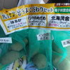 さあ、ジャガイモを植えましょう。