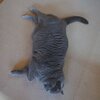 いいオトコだって知ってる.. 笑