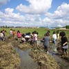 田んぼでどろんこ遊び