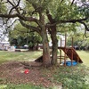 阪神西宮 | 子どもの冒険心を解き放て！秘密基地「西宮市冒険遊び場プレーパーク」を徹底解説