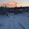 1月21日早朝、雪でした・・・