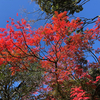 東京で使ってみた