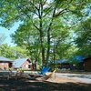 森の中で過ごす、ちょっと贅沢な那須里山旅🌿「NASU SATOYAMA FIELD」で自然と食とサウナを満喫！