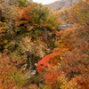 川俣温泉「間欠泉」の紅葉を撮る