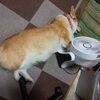 月食見れたのかなぁ？