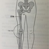 身体の使い方シリーズ105『変形性膝関節症と武術の関係』膝を痛めずにトレーニングをするには⁈関節の構造を意識した練功を考える。