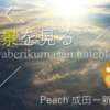 【Peach搭乗レビュー】安く絶景を見る！| MM577 成田ー新千歳