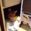 久しぶりに収納庫の整理整頓
