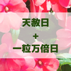 【天赦日+一粒万倍日】今日はとってもラッキーな日