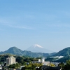 伊豆の国の旅 2日目『鎌倉殿の13人』ゆかりの地