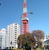東京タワー観光！