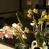 花粉も大変