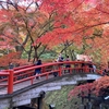 おばあちゃんと紅葉狩り（伊香保温泉）