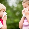 子どもの鼻が、目が.....花粉症を疑ったら（子育てママ目線で解説！）