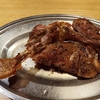 高松 Vol.8 ＜高松の夜・宴会・とり料理 かど弦・香川名産の骨付鶏いただきました＞