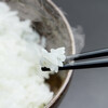 海外で日本のような「美味しいお米」を食べたい！／海外生活の自炊