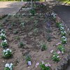 ７．３０（火・晴れ）感動のパリ五輪。