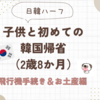 【日韓ハーフ】子供と初めての韓国帰省（2歳8か月）飛行機手続き＆お土産編