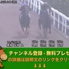 天皇賞（秋）（GI） 【競馬調教】 クラレント調教動画　「競馬レース結果ハイライト」2016年≪競馬場の達人,競馬予想≫