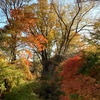 紅葉の懐古園