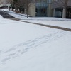 雪が少ない