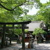 八坂神社・楠森稲荷大社（龍ヶ崎市）