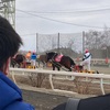 ばんえい競馬を観る＆動物たちとふれあいをする