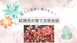 【多肉】可愛いお花が咲く紅稚児の育て方と増やし方！徒長させずに丈夫に育てるコツ