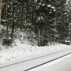 思っていたより深い雪