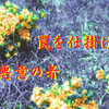 楽山が仕掛ける罠２