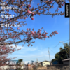 ラン再開