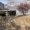 玉村町15号墳石室  玉村町歴史資料館