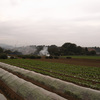 野焼きの烟立つ小比企高原（Oct. 14, 2007）