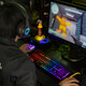 PCゲーマー必見！今週（24/10/15）のPCゲームお得情報！