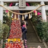 座間神社の「ひな祭り」報告します！(2022/3/3)