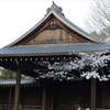 靖国神社(東京　千代田区)