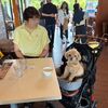 ひと足早い夏休み？発地市庭編！