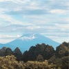 今朝の景色